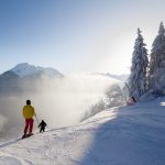 Buy Ski Chalet France