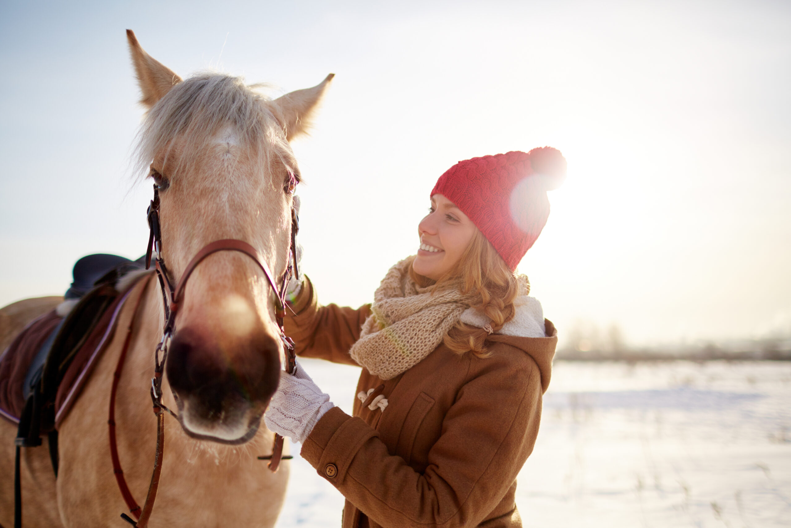 5 Horse Care Tips & Tricks For Equestrian