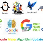 Everything About Google Algorithm Updates You Should Know!