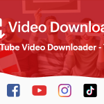 Online Video Downloader