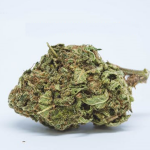 Buy Blueberry Kush Online