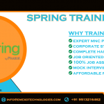 Best Spring Training Institute in Electronic City – eMexo Technologies