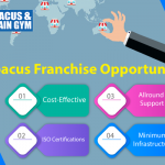 Is starting an Abacus Franchise a Profitable Business