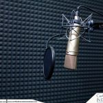 Voice over dubai