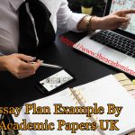 An Essay Plan Example By The Academic Papers UK