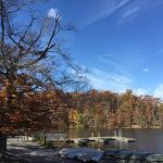 Burke Lake Park: A Natural Park Within the Reach of the City