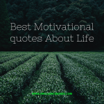 Best Motivational Quotes | Best Positive Quotes
