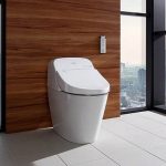 Why Choose TOTO Toilet?