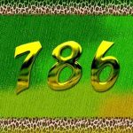 Find The Real Meaning Of Number "786"