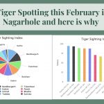 Let's go Tiger Spotting this February in Kabini Nagarhole and here is why