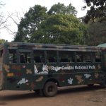 Kabini Nagarhole Safari Timings | Kabini Forest Safari Booking