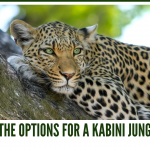 What are the options for a Kabini Jungle Safari? | Kabini Safari Online Booking