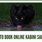 How to book online Kabini Safari? | Kabini Safari Online Booking