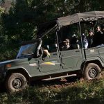 Jeep Safari In Kabini | Kabini Forest Safari Booking