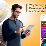 Why Setting Up a Multi-vendor E-commerce Marketplace is a Good Idea?