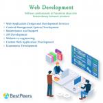 Bestpeers Infosystem-Top Software Development Company in Indore