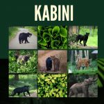 Nagarhole National Park Kabini | Kabini Safari Online Booking