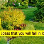 Garden Ideas that you will fall in love with | Urbaan Green