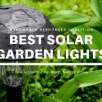 What Everyone Must Know About Solar Garden Lights – Urbaan Green