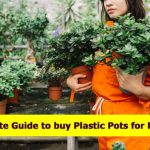 Plastic pots for plants online | Complete buying guide