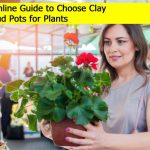 Clay Pots for Plants Online | Mud pots for plants | Types | Reviews