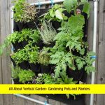 vertical garden | vertical gardening pots and planters – Urbaan Green