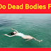 Why do dead bodies float?