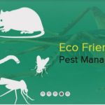 Pest control in zirakpur | Termite Pest Control in Chandigarh