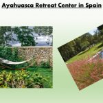 Find Your Retreat – Avalon