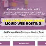 Why 53 Top Brands Are Using Liquid Web Hosting?
