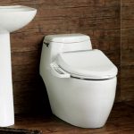 Wahslet Toilet Seat for the Elderly and Individuals with Disabilities