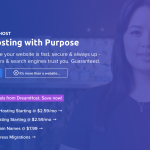 Is Ads Dreamhost Hosting Service A Good Choice For Newbies?
