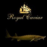 Premium Quality Seafood Suppliers  – Royal Caviar UAE