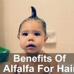 Benefits of Alfalfa For Hair