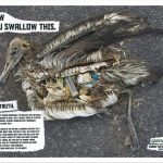 Greenpeace: Change the picture now
