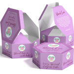 Custom Packaging Evolving Day By Day to Help Business to Be in Business
