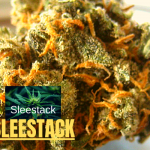 Are you searching about Sleestack Strain? This Marijuana Strain is the most diverse strain you came across. Check out Infos, Strain Reviews.