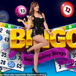 Know about best online bingo – Present Feature