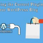 Selecting the Correct Plugins For Your WordPress Blog