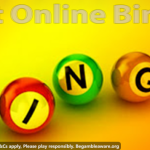See the website by checking the best online bingo reviews