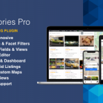 DirectoryPRO WordPress Theme – Best WordPress Directory Theme