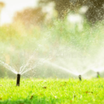 Things to Avoid When Landscaping in Hot Weather