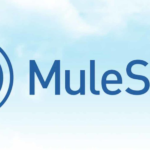 MuleSoft Training in Hyderabad | MuleSoft ESB Online Training