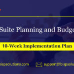 NetSuite Planning and Budgeting Implementation | NetSuite Consulting