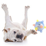 Jumping Ball for Dogs | Pet Toys | PathExpo
