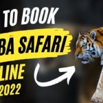 Ultimate Guide on Tadoba Safari Booking Online
