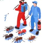 pest control service in noida