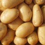 Potato export from bangladesh