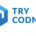 Review of Try Codnet | Fintech Software House