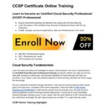 CCSP Certificate Online Training